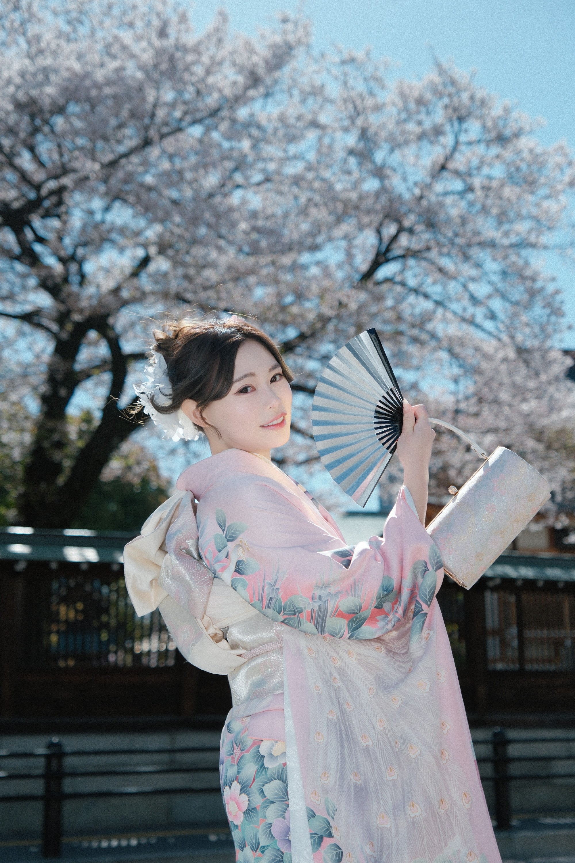 レディース-高級振袖